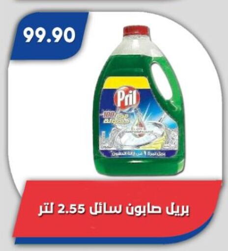 بريل available at باسم ماركت in Egypt - القاهرة