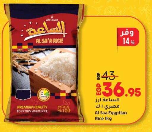 أرز أبيض available at لولو هايبرماركت in Egypt - القاهرة