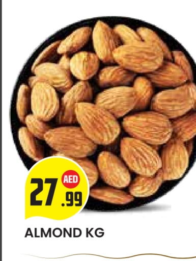 available at سنابل بني ياس in الإمارات العربية المتحدة , الامارات - أبو ظبي