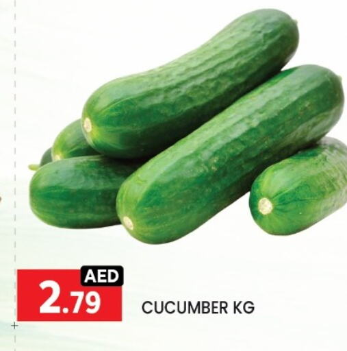 Fresh Vegetables in LIYAKKAS HYPERMARKET LLC, UAE Offers - United Arab Emirates Cucumber available at LIYAKKAS HYPERMARKET LLC in UAE - Abu Dhabi