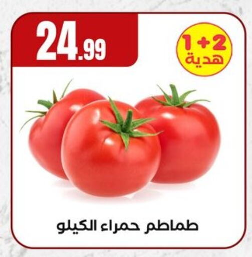 الخضروات الطازجة in المحلاوي ستورز, Egypt Offers - Egypt طماطم available at المحلاوي ستورز in Egypt - القاهرة