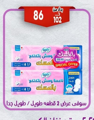 النظافة الشخصية النسائية in بندق ماركت, Egypt Offers - Egypt صوفي available at بندق ماركت in Egypt - القاهرة