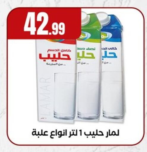 حليب و لبن in المحلاوي ستورز, Egypt Offers - Egypt available at المحلاوي ستورز in Egypt - القاهرة