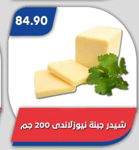 جبنة الشيدر available at باسم ماركت in Egypt - القاهرة