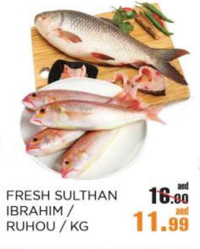 available at OK Hypermarket LLC SPC in UAE - Abu Dhabi