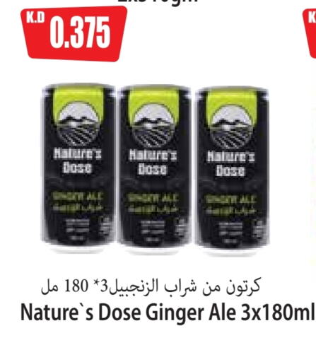 Malt Beverages in 4 SaveMart, Kuwait Offers - Kuwait Ginger available at 4 SaveMart in Kuwait - Kuwait City