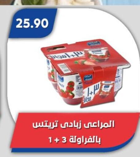 زبادي و لبنة in باسم ماركت, Egypt Offers - Egypt المراعي زبادي available at باسم ماركت in Egypt - القاهرة