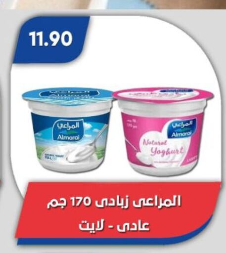 زبادي و لبنة in باسم ماركت, Egypt Offers - Egypt المراعي زبادي available at باسم ماركت in Egypt - القاهرة