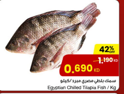 available at The Sultan Center in Kuwait - Ahmadi Governorate