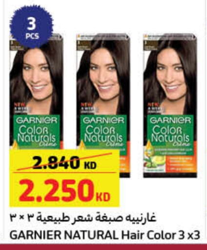 GARNIER Hair Colour available at Carrefour in Kuwait - Jahra Governorate