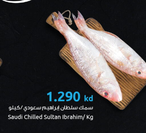 available at The Sultan Center in Kuwait - Ahmadi Governorate