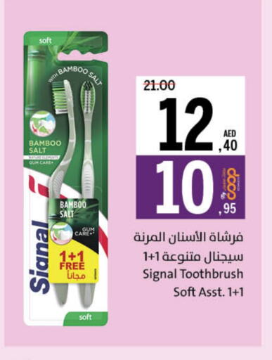 SIGNAL Toothbrush available at Sharjah Co-Op Society in UAE - Fujairah