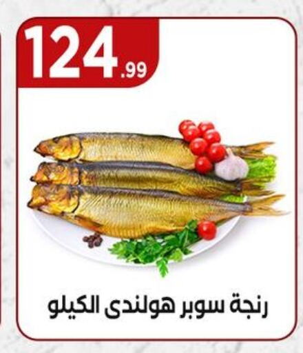 available at مارت فيل in Egypt - القاهرة