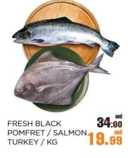 available at OK Hypermarket LLC SPC in UAE - Abu Dhabi