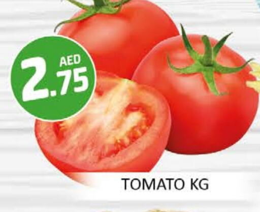Tomato available at Al Madina  in UAE - Dubai
