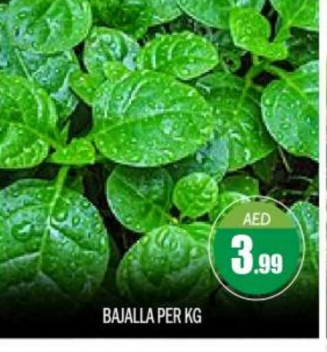 Fresh Vegetables in BIGmart, UAE Offers - United Arab Emirates available at BIGmart in UAE - Abu Dhabi