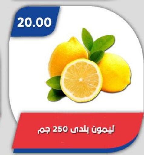 lemon available at باسم ماركت in Egypt - القاهرة
