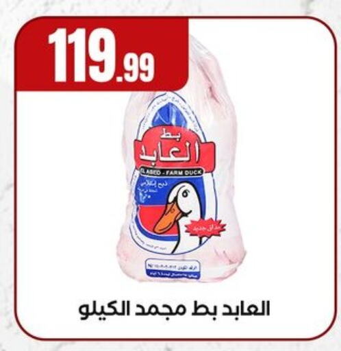 اللحوم المجمدة in المحلاوي ستورز, Egypt Offers - Egypt available at المحلاوي ستورز in Egypt - القاهرة