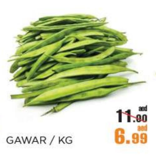 Fresh Vegetables in OK Hypermarket LLC SPC, UAE Offers - United Arab Emirates available at OK Hypermarket LLC SPC in UAE - Abu Dhabi