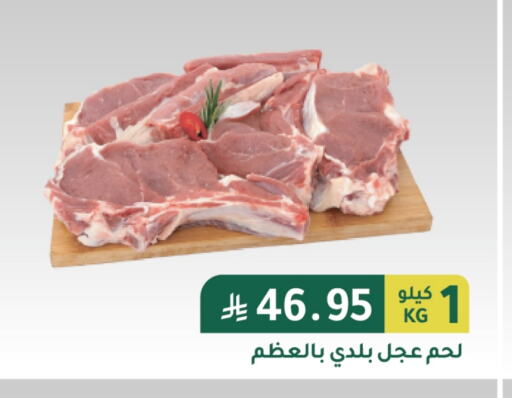 اللحوم الطازجة والمبردة in الهاجري الأغذية, المملكة العربية السعودية Offers - المملكة العربية السعودية لحم عجل available at الهاجري الأغذية in مملكة العربية السعودية, السعودية, سعودية - خميس مشيط