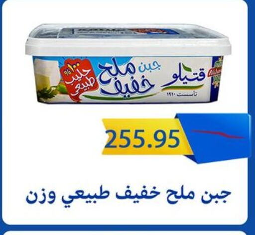 in Egypt - القاهرة