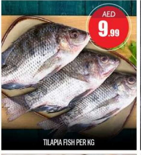 available at BIGmart in UAE - Abu Dhabi