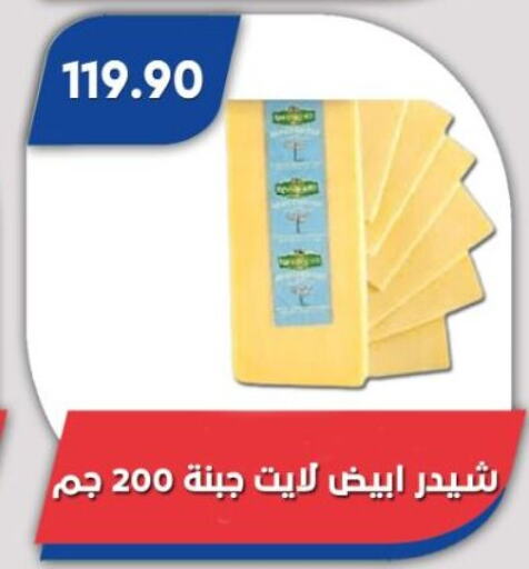جبنة الشيدر available at باسم ماركت in Egypt - القاهرة