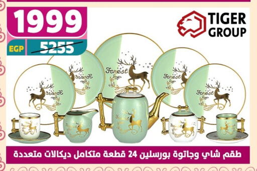 معدات الطعام وتقديمه in سنتر شاهين, Egypt Offers - Egypt available at سنتر شاهين in Egypt - القاهرة