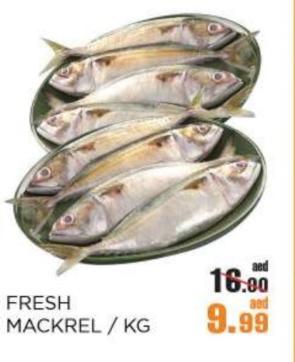 available at OK Hypermarket LLC SPC in UAE - Abu Dhabi