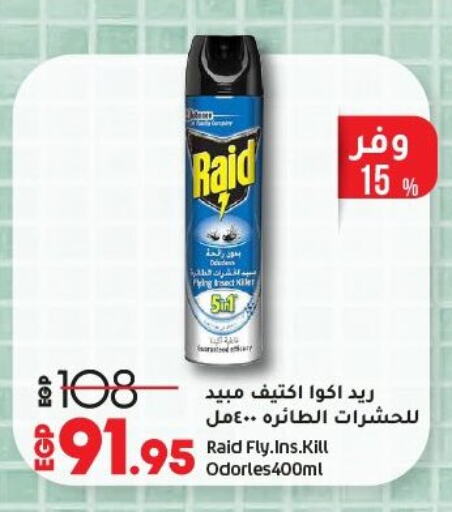 RAID available at Lulu Hypermarket  in Egypt - Cairo