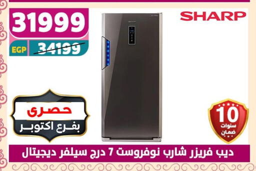 SHARP Freezer available at Shaheen Center in Egypt - Cairo