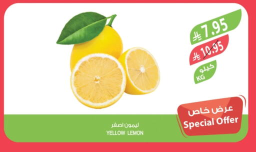 Fresh Fruits in Farm , Saudi Arabia Offers - Saudi Arabia lemon available at Farm in KSA, Saudi Arabia, Saudi - Abha