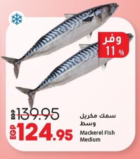 الأسماك الطازجة in لولو هايبرماركت, Egypt Offers - Egypt available at لولو هايبرماركت in Egypt - القاهرة
