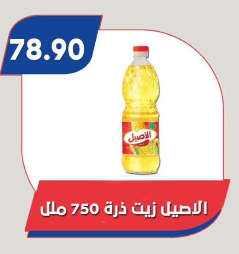 زيوت و سمن in باسم ماركت, Egypt Offers - Egypt زيت الذرة available at باسم ماركت in Egypt - القاهرة