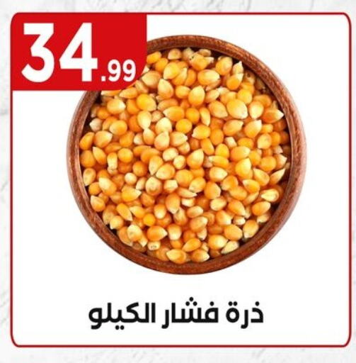 available at مارت فيل in Egypt - القاهرة
