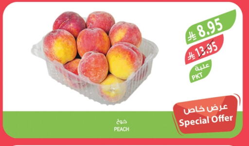 Fresh Fruits in Farm , Saudi Arabia Offers - Saudi Arabia Plums available at Farm in KSA, Saudi Arabia, Saudi - Abha
