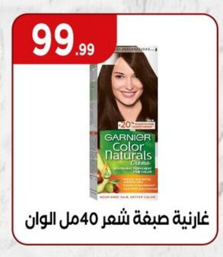 GARNIER Hair Colour available at El Mahlawy Stores in Egypt - Cairo