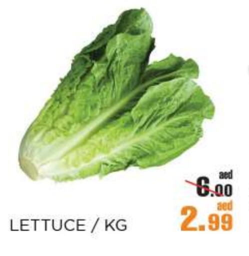 Fresh Vegetables in OK Hypermarket LLC SPC, UAE Offers - United Arab Emirates Lettuce available at OK Hypermarket LLC SPC in UAE - Abu Dhabi