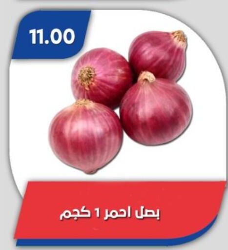 بصل available at باسم ماركت in Egypt - القاهرة