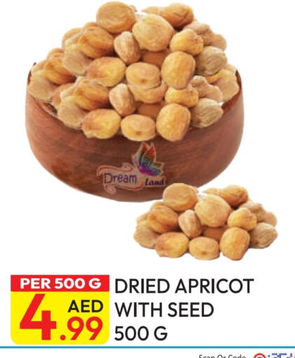 Apricot available at Dream Land in UAE - Dubai