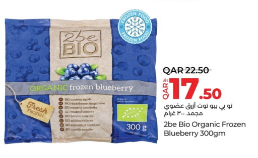 Blueberry BlueBerry available at لولو هايبرماركت in قطر - الخور