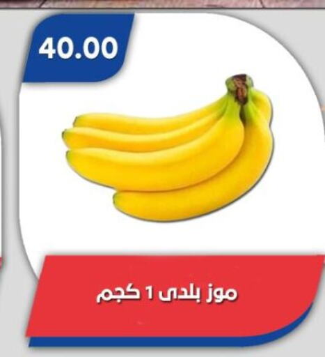 موز available at باسم ماركت in Egypt - القاهرة