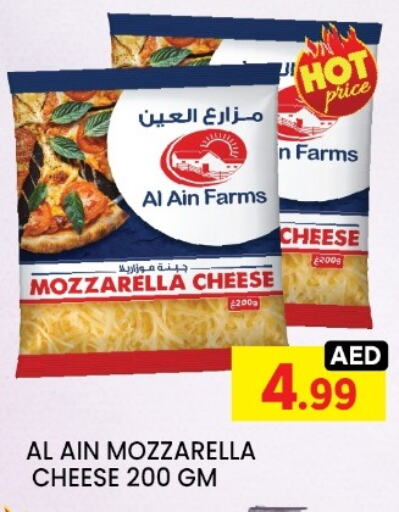 AL AIN Mozzarella available at LIYAKKAS HYPERMARKET LLC in UAE - Abu Dhabi