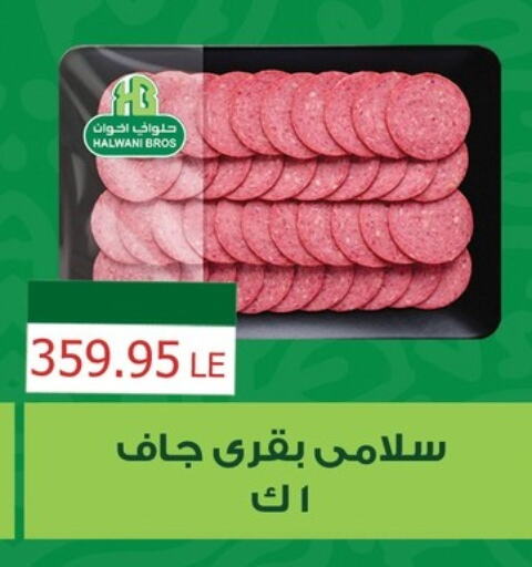 in Egypt - القاهرة