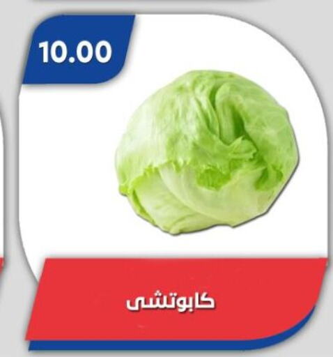available at باسم ماركت in Egypt - القاهرة
