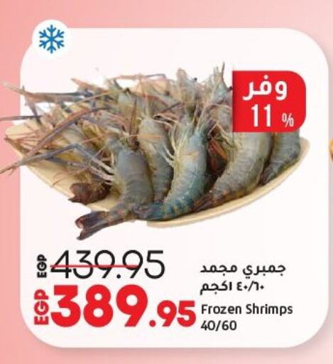 الأسماك الطازجة in لولو هايبرماركت, Egypt Offers - Egypt available at لولو هايبرماركت in Egypt - القاهرة