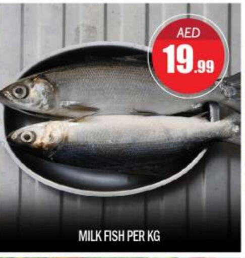 available at BIGmart in UAE - Abu Dhabi