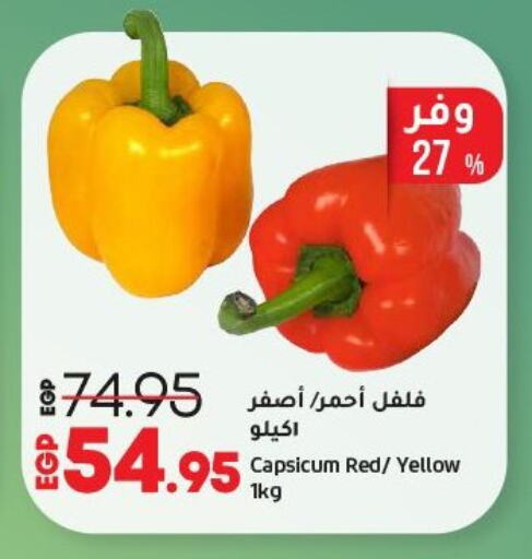 Chilli / Capsicum available at Lulu Hypermarket  in Egypt - Cairo