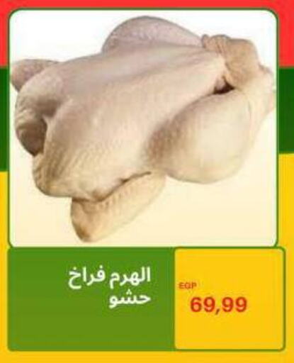 available at هايبر ال هواري in Egypt - القاهرة