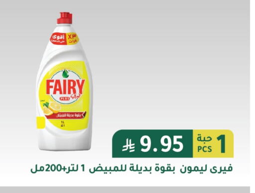 Dishwasher in AlHajri Food, Saudi Arabia Offers - Saudi Arabia FAIRY available at AlHajri Food in KSA, Saudi Arabia, Saudi - Abha